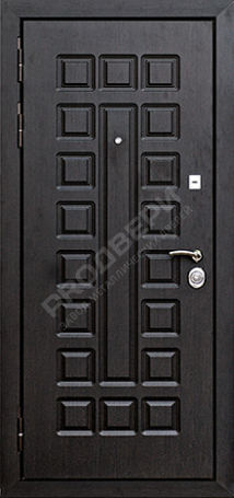 Фотография «Дверь Порошок №12»